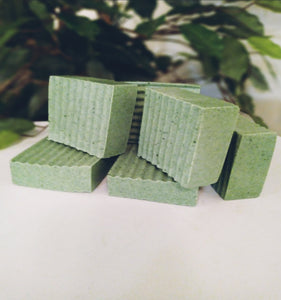 Spirulina Tea Tree Bar